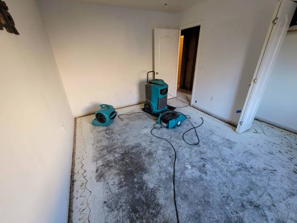 Local water damage restoration in Pasadena Hills, FL
