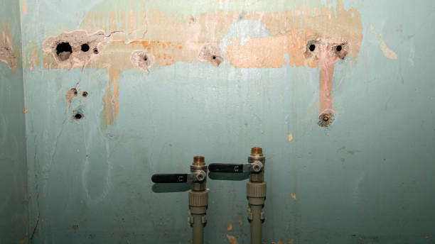 Best Commercial water damage restoration  in Pasadena Hills, FL