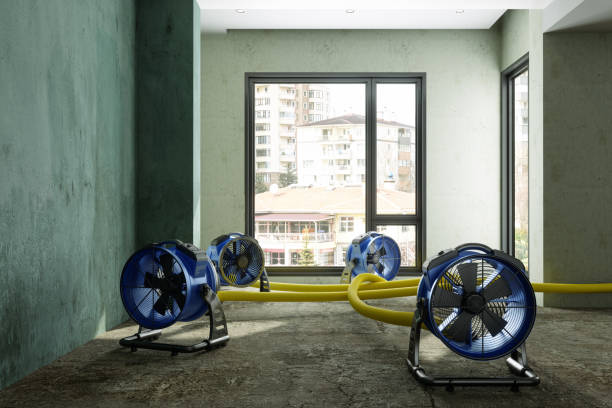 Best Residential water damage restoration  in Pasadena Hills, FL