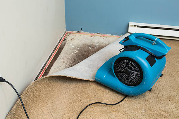 Best Flood restoration services  in Pasadena Hills, FL